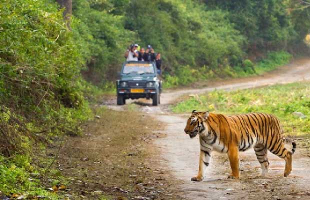 Jim Corbett National Park: A Complete Travel Guide