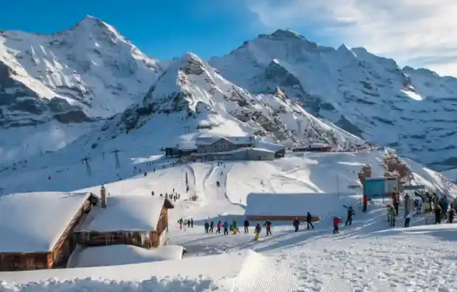 Himachal Winter Snowfall Special Tour 5 Nights 6 Days