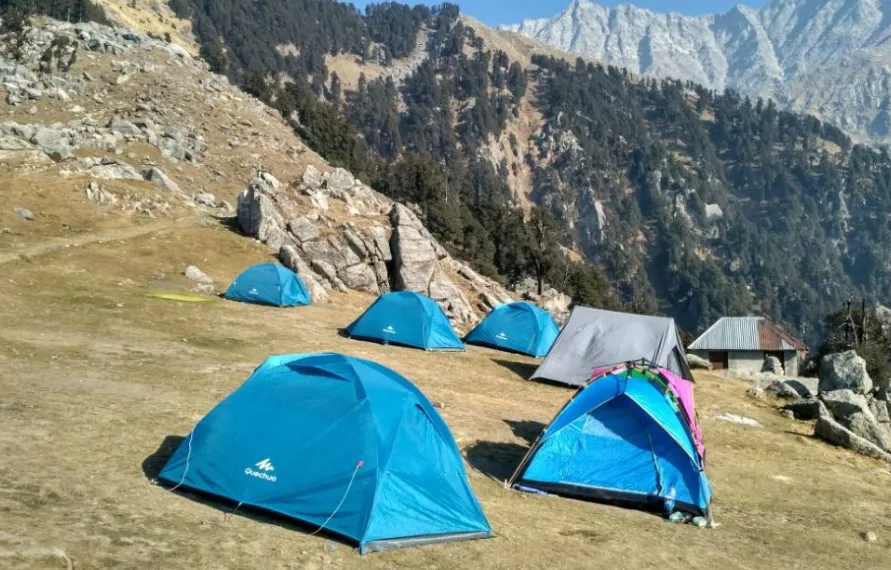 Offbeat Himachal: Tirthan Valley Nature Retreat 4 Nights 5 Days