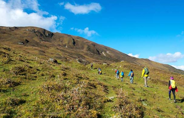 Bamsarukhal: The Grand Banderpunch Circuit