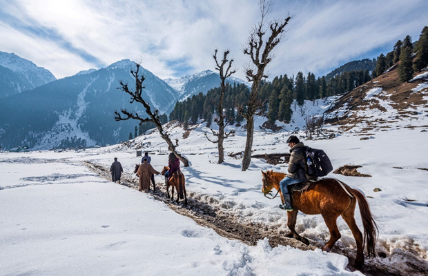 Kashmir tour packages from Patna
