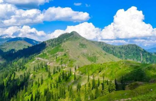 Kashmir Tour Packages from Surat