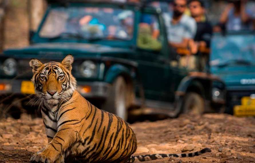 Lahaul Luxury Jeep Safari