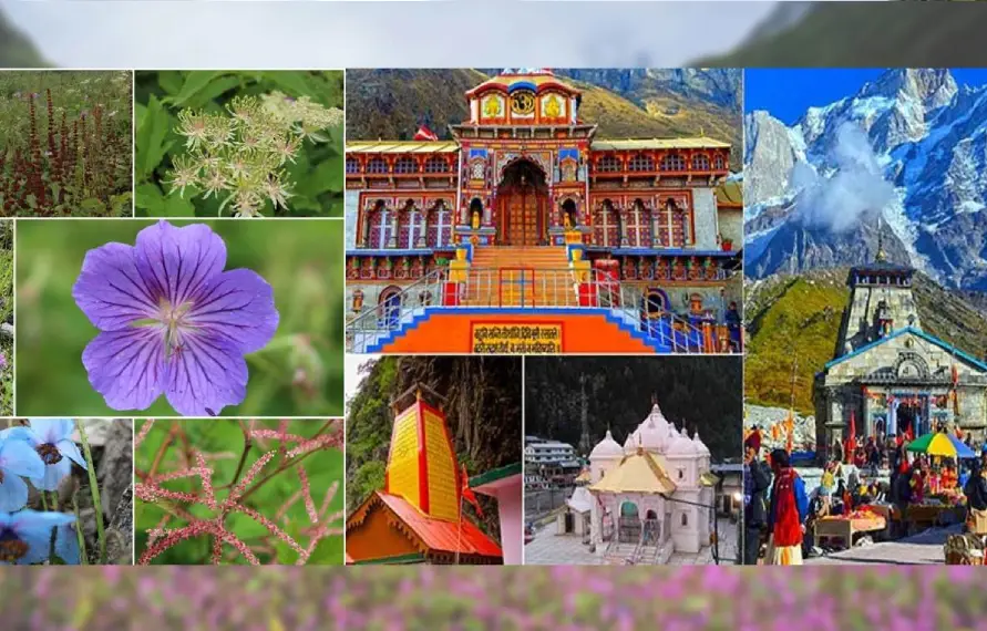 Chardham Package with Valley of Flowers
