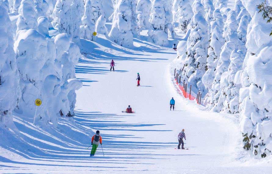 Skiing & Snow Luxury Tour