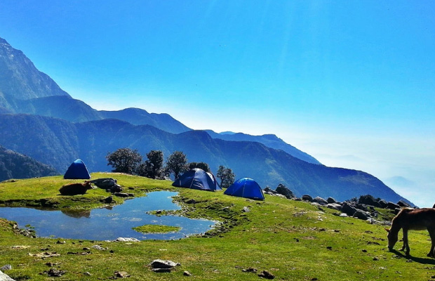 Trekking in Dharamshala