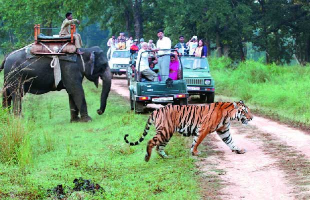 Wildlife of Corbett with Nainital & Mussoorie