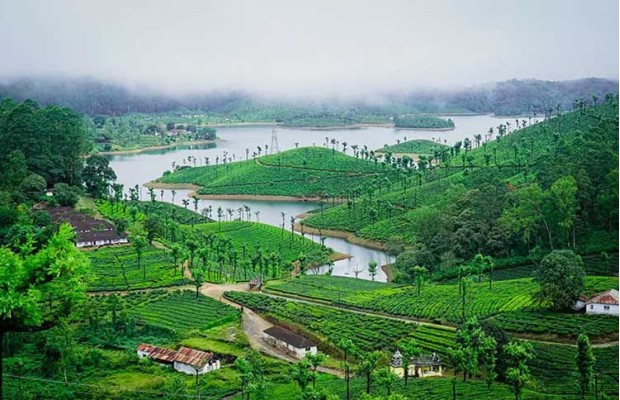 Himachal Tour Packages From Tamil Nadu